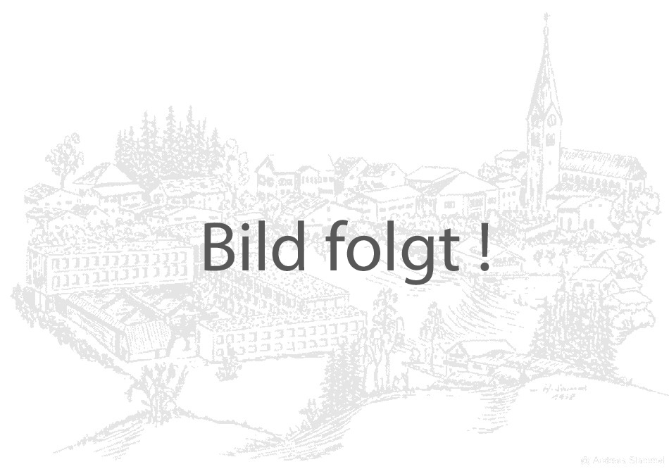 Bild folgt.jpg Leider haben wir keinen Alternativtext zu diesem Bild, aber wir arbeiten daran.
